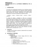 PRÁCTICA N°1 DETERMINACIÓN DE LA ACTIVIDAD ENZIMÁTICA EN LA UREASA