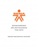 Diagnóstico riesgos ergonómicos y psicosociales