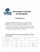 Caso empresa Extractiva Minera El Juncal, S.A