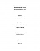 Administración de Empresas Virtual Actividad 3 Área Metropolitana
