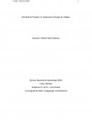 Actividad de Proyecto 12. Supervisar el Equipo de Trabajo