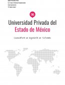 Reporte “El Talento Toyota”