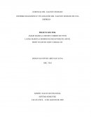 INFORME DIAGNOSTICO Y PLANEACIÓN DEL TALENTO HUMANO DE UNA EMPRESA