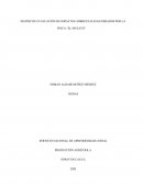 MATRIZ DE EVALUACIÓN DE IMPACTOS AMBIENTALES GENERADOS POR LA FINCA “EL MULATO”