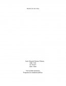 SISTEMA DE INFORMACIÓN GERENCIAL. Programa de contaduría pública