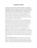 POTENCIAL DE ACCIÓN