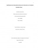 Identificación de la Necesidad de Sistemas de Información en la Fundación Colombian Dream