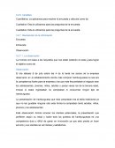 Corrección del trabajo