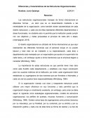 Diferencias y Características de las Estructuras Organizacionales