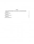 CASO 3: RATIOS FINANCIEROS Y EVALUACIÓN DE LA SITUACIÓN FINANCIERA