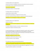 TAREA 5 Enfoque sistémico en las organizaciones