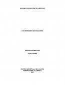 GESTIÓN DE MERCADO empresa YOGURT NUTRIGURT