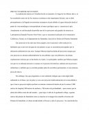 PROYECTO MINERO SOTO NORTE