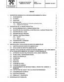 Modelo informe revision ambiental