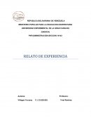 Relato de experiencia