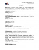 Glosario Derecho Romano