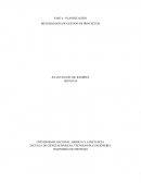 PLANIFICACIÓN METODOLOGÍA DE GESTIÓN DE PROYECTOS
