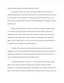 Quien encuentra un porqué casi siempre encontrará un cómo