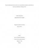 Proyecto implementación del eccomerce en la comercialización de plantas ornamentales con macetas personalizadas en Santiago de Cali