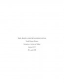 Diseño, desarrollo y control de los productos y servicios