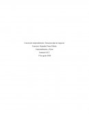 Concreción emprendimiento: Estructura plan de negocios