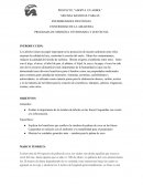 IMPORTANCIA DE LOS ARBOLES