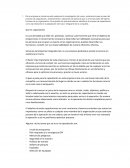 Servicios Aeronáuticos Integrados