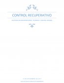 COTROL RECUPERATIVO. AUDITORIA DE REMUNERACIONES, TESORERIA Y CONTROL INTERNO