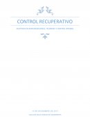 COTROL RECUPERATIVO. AUDITORIA DE REMUNERACIONES, TESORERIA Y CONTROL INTERNO