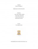 Manifestaciones de la subjetividad infantil permeadas por los ofrecimientos del parque temático y tradicional