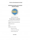 El mundo laboral y la pandemia: cómo reaccionaron las organizaciones frente al coronavirus