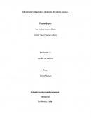 Informe sobre diagnóstico y planeación del talento humano