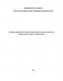 Patrimonio arquitectónico: elemento importante para la conservación de los paisajes cultural y urbano en América latina