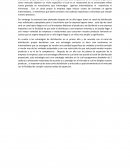 Voc empresa de alimentos