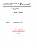 Fundamentos estructurales