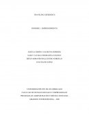 TRAVELING EXPERIENCE INFORME 1. EMPRENDIMIENTO