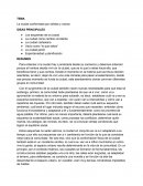 La ciudad conformada por sólidos y vacíos