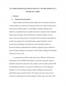 FACTORES DE RIESGO QUE DESENCADENAN LA NEUMOCONIOSIS EN LA MINERÍA DE CARBÓN