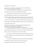 FLEXIBILIDAD + ADAPTACION