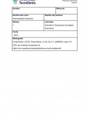 Actividad Descripción de estados financieros. Grupo BIMBO