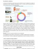 Guía de trabajo 1 – El proceso de evolución del ser humano