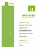 Cinco formas de aprender para cinco formas de enseñar
