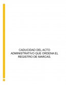 PROCESAL ADMINISTRATIVO