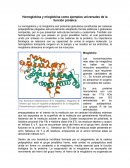 Caracteristicas especificas de la hemoglobina y mioglobina