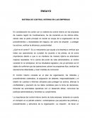 SISTEMA DE CONTROL INTERNO EN LAS EMPRESAS