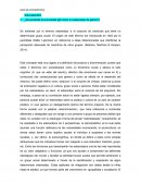 INFO DE ESTERIOTIPOS