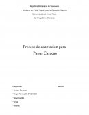 Proceso de adaptacion para Papas Caracas