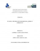 PLANEA. PRUEBA ESTANDARIZADA ¿MIDE O ETIQUETA?