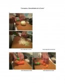 Conceptos y generalidades de la cocina