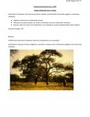 Trabajo practico de biología